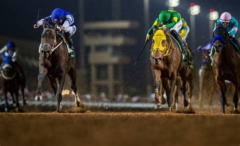 saudi cup results|Señor Buscador wins Saudi Cup with stunning rally.